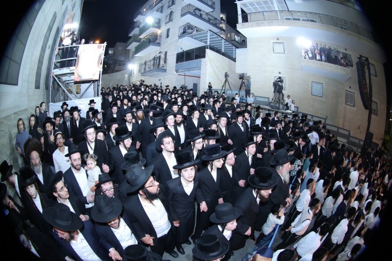 שלומי טריכטר