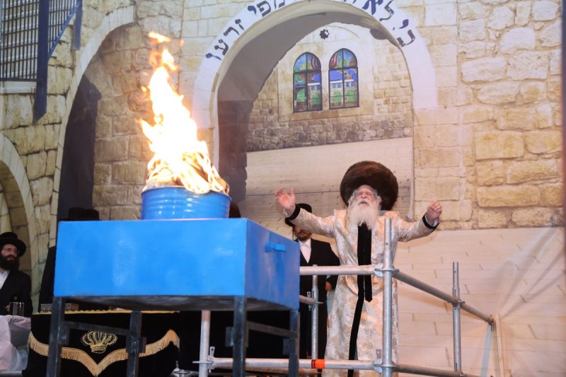 שלומי טריכטר