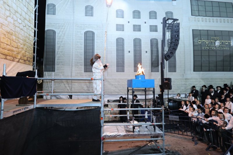 שלומי טריכטר