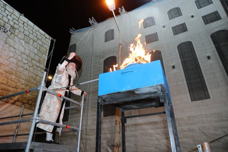 שלומי טריכטר