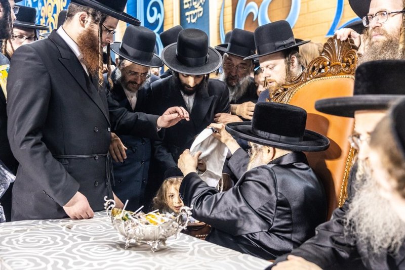 בחצרות סאטמר