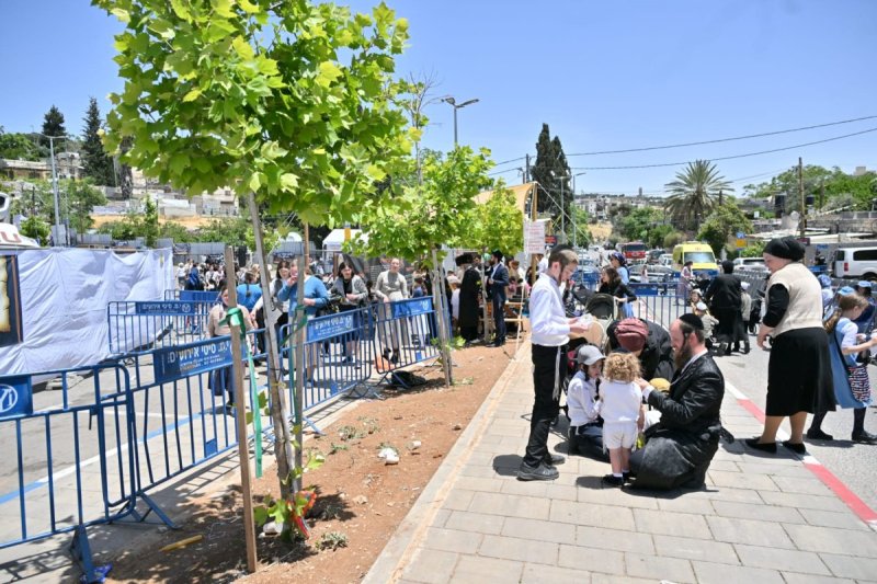 יהושע פרוכטר