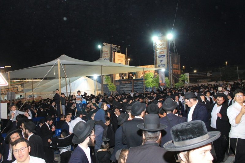 יהושע פרוכטר