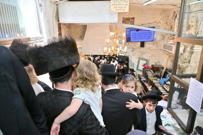 יהושע פרוכטר