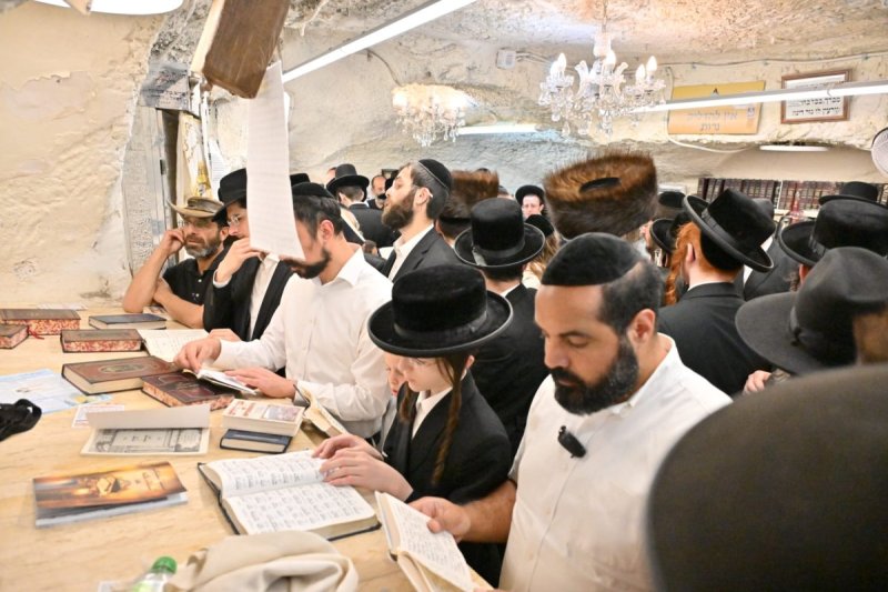 יהושע פרוכטר