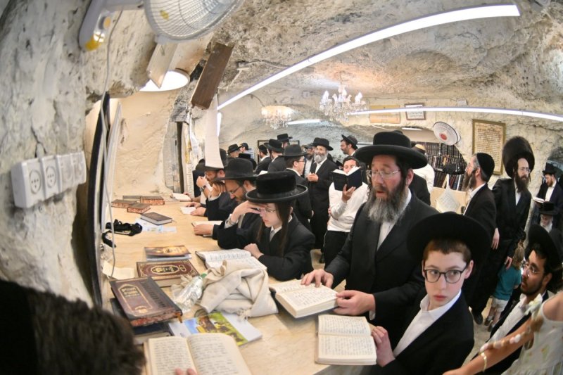 יהושע פרוכטר