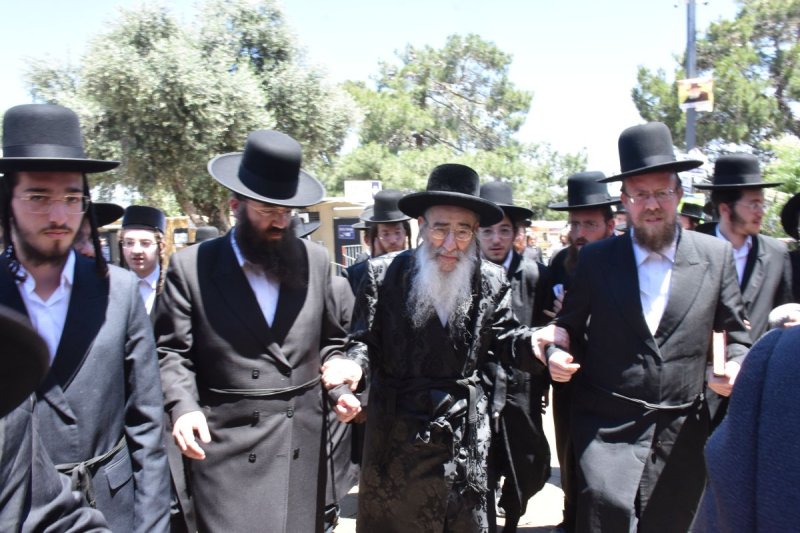 יהודה פרקוביץ