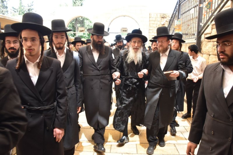 יהודה פרקוביץ