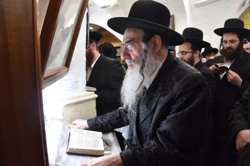 יהודה פרקוביץ