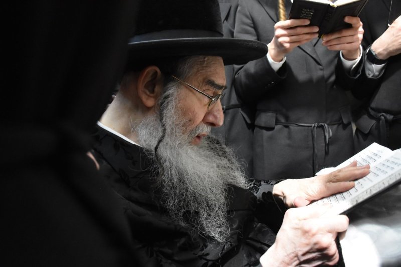 יהודה פרקוביץ