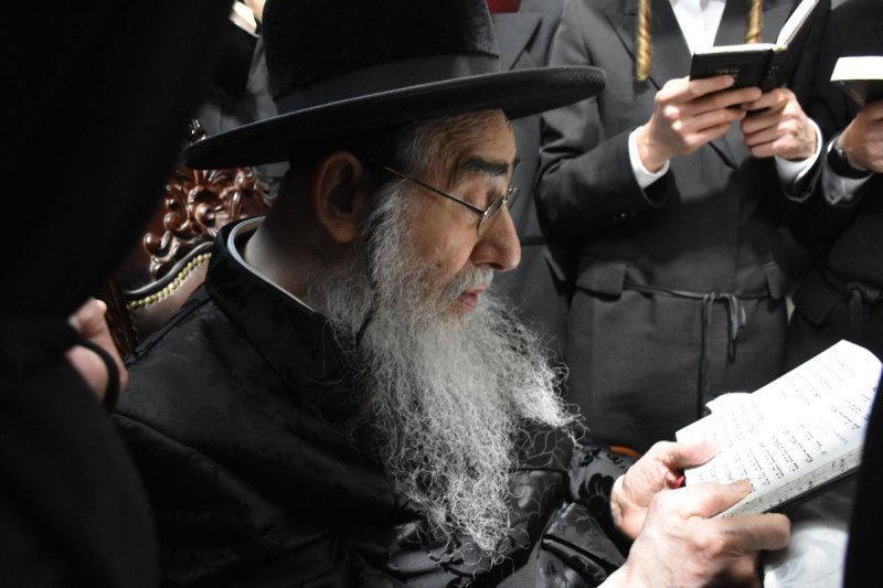 יהודה פרקוביץ