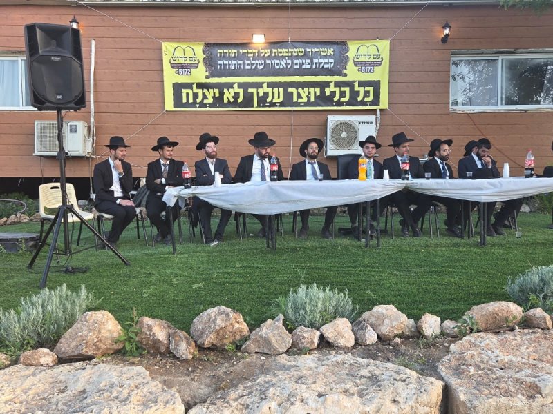 שימי קליין