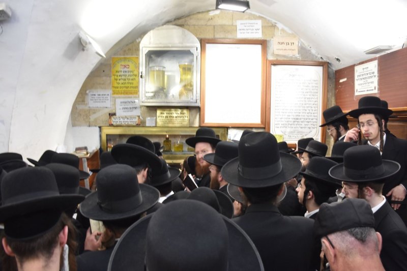 יהודה פרקוביץ