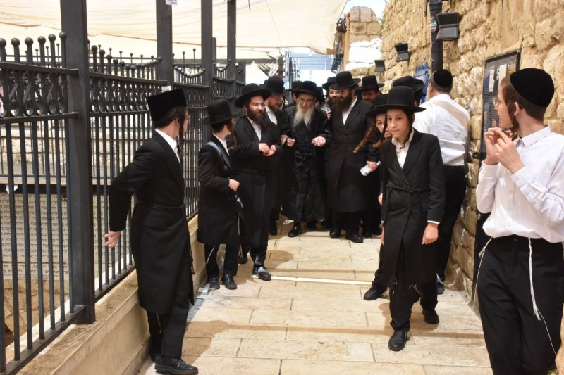 יהודה פרקוביץ