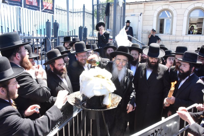 יהודה פרקוביץ