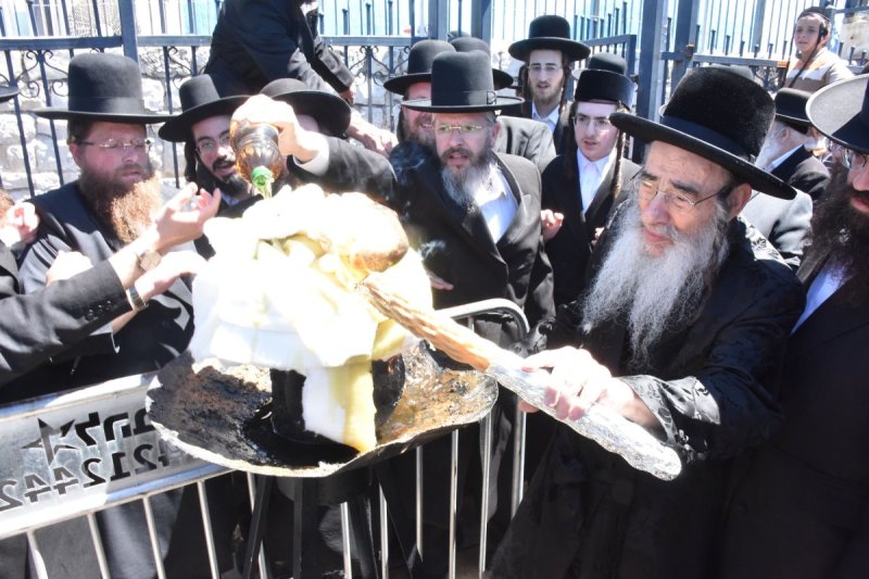 יהודה פרקוביץ