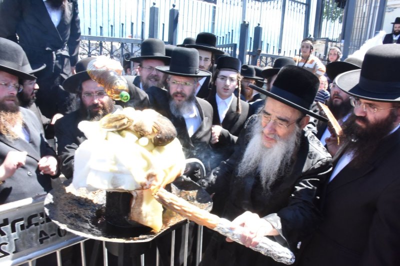 יהודה פרקוביץ