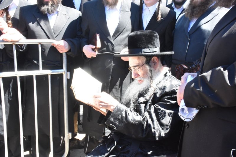 יהודה פרקוביץ