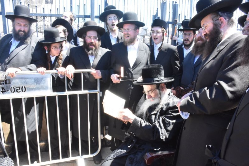 יהודה פרקוביץ