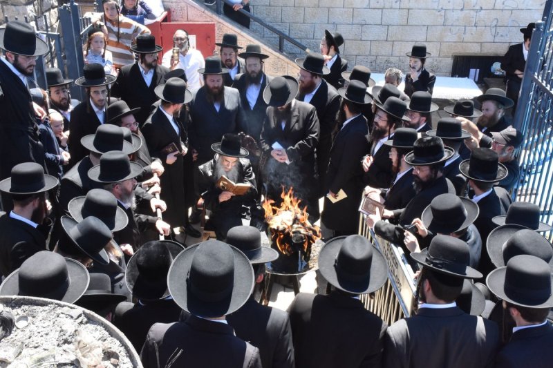 יהודה פרקוביץ