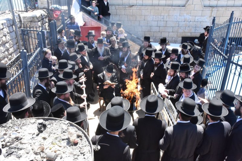 יהודה פרקוביץ