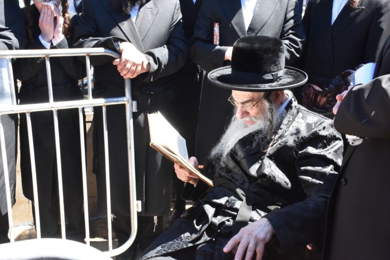 יהודה פרקוביץ