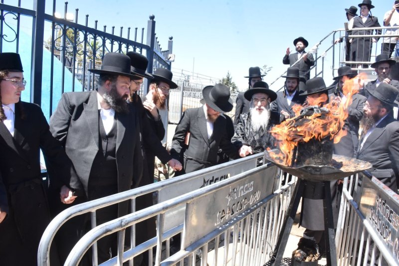 יהודה פרקוביץ