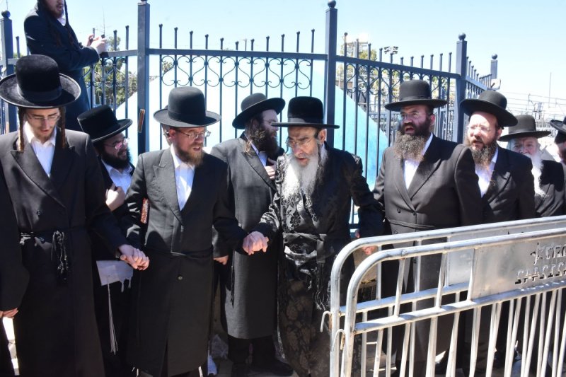 יהודה פרקוביץ