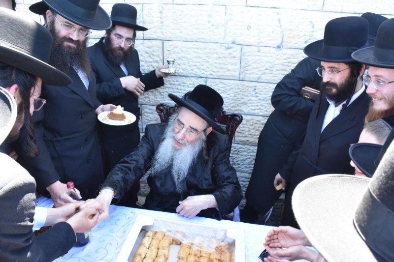 יהודה פרקוביץ