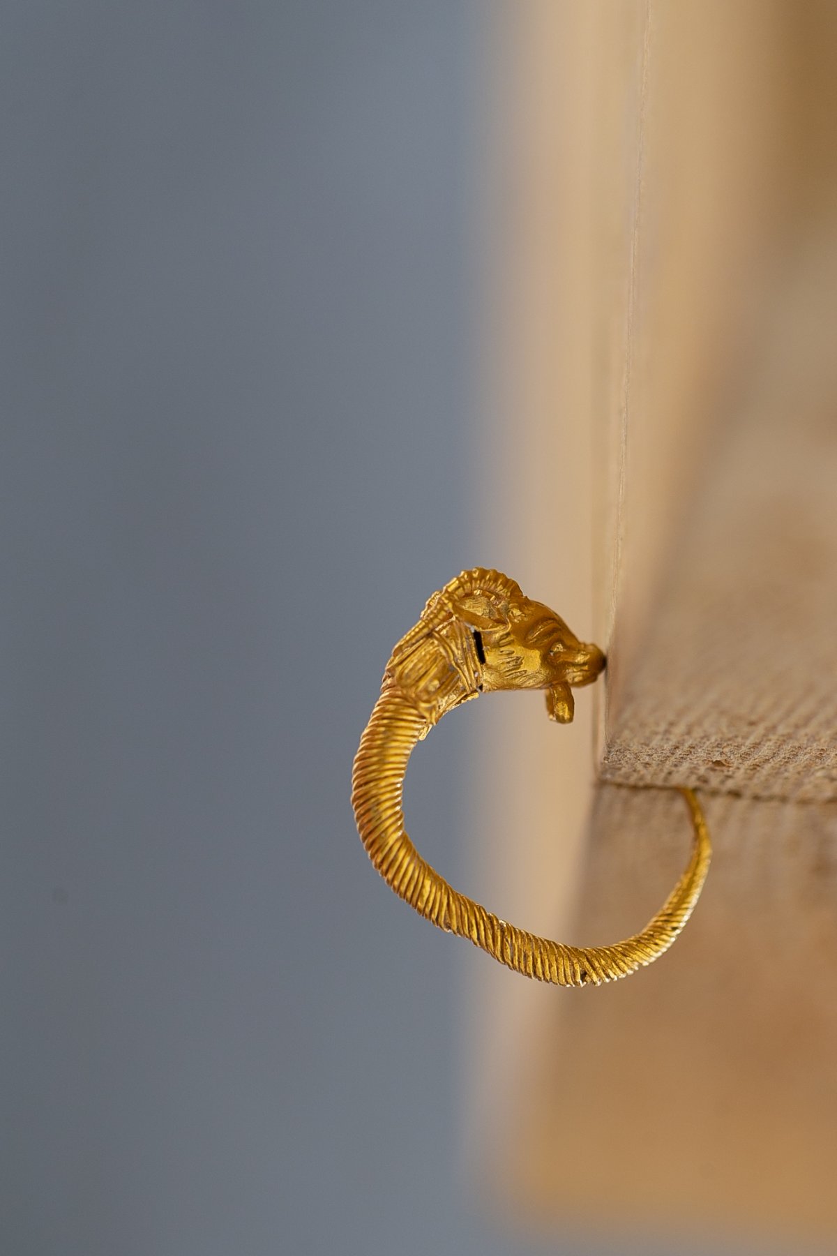 רשות העתיקות