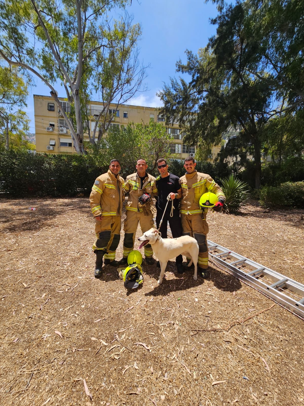 כבאות והצלה