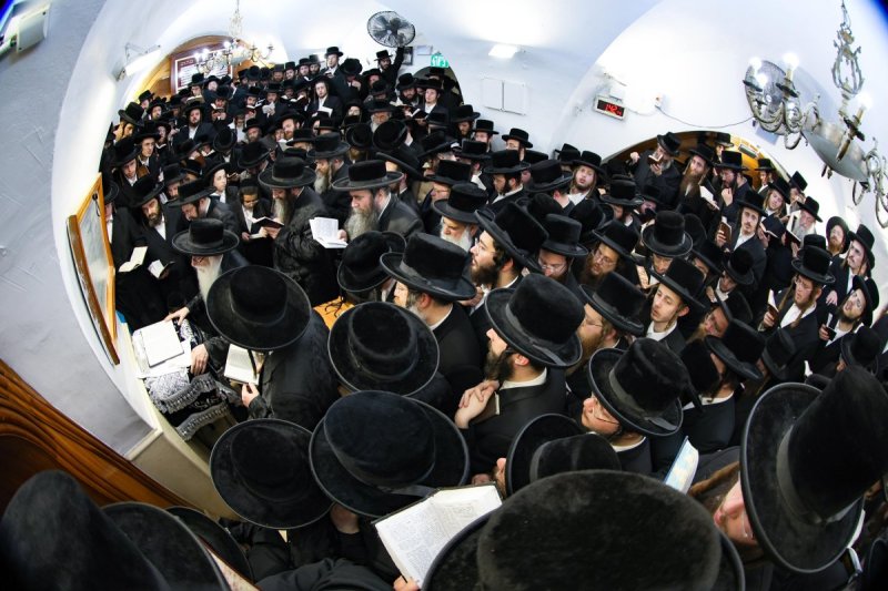 משה גולדשטיין