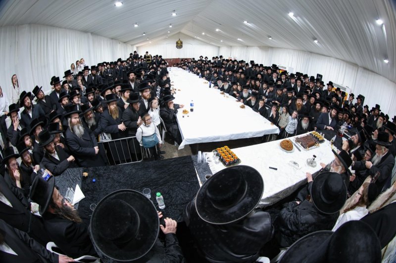 משה גולדשטיין