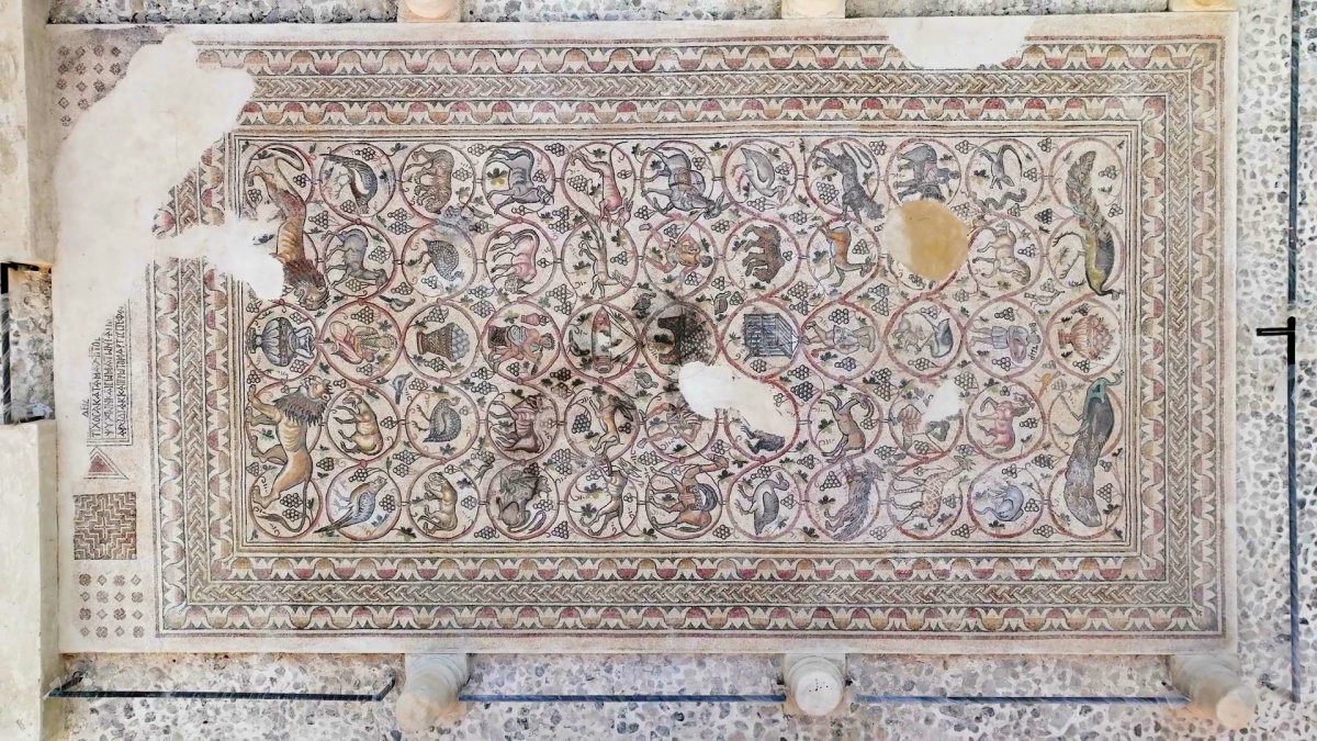 אמיל אלג'ם, רשות העתיקות