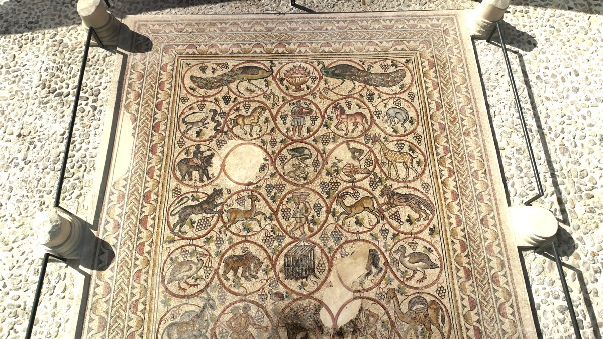 אמיל אלג'ם, רשות העתיקות