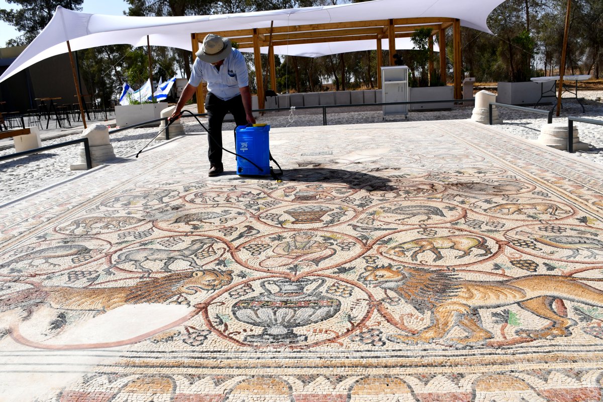 אמיל אלג'ם, רשות העתיקות