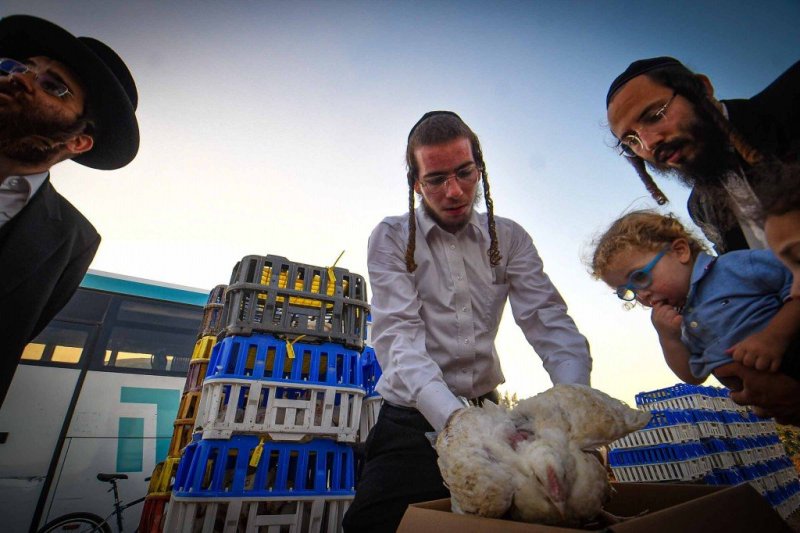 ארי קופרשטוק