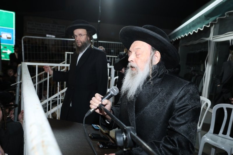 דוד ארזני