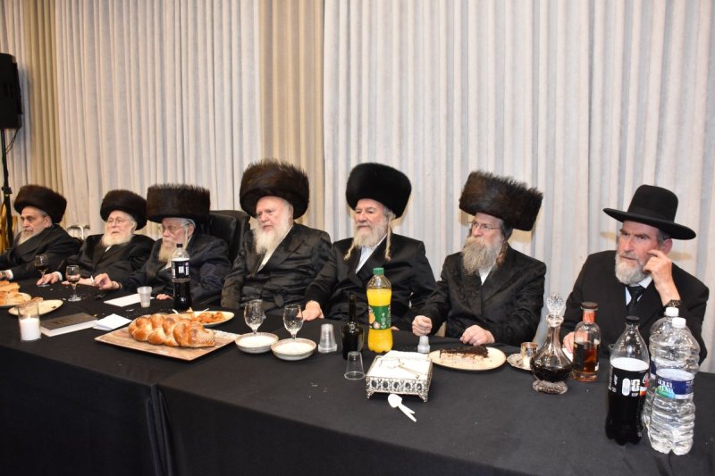יהודה פרקוביץ
