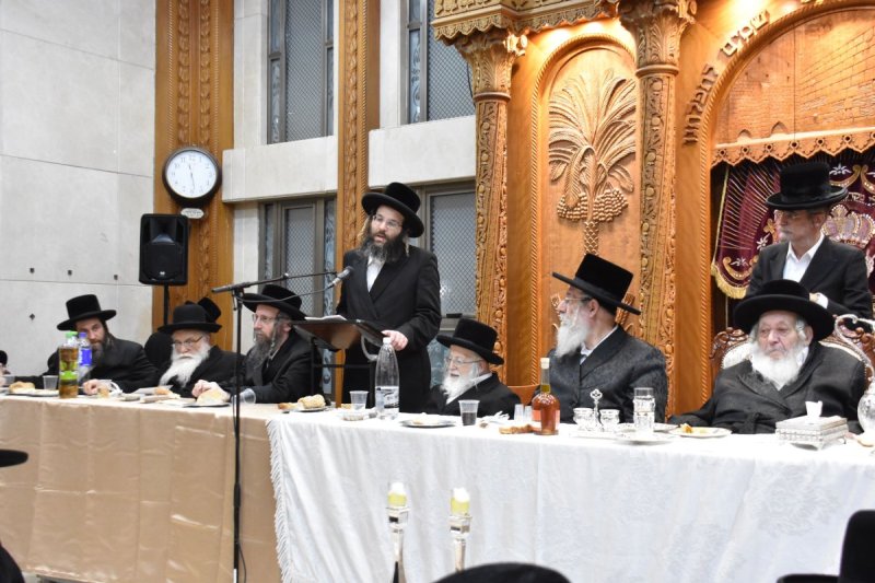 יהודה פרקוביץ