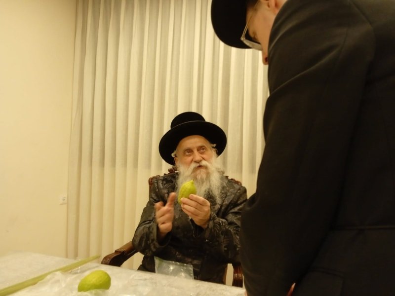 איתי קצב