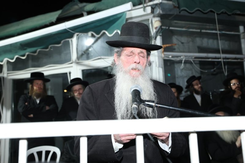 דוד ארזני