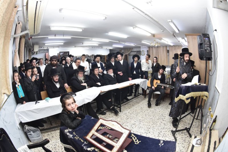 יהודה פרקוביץ