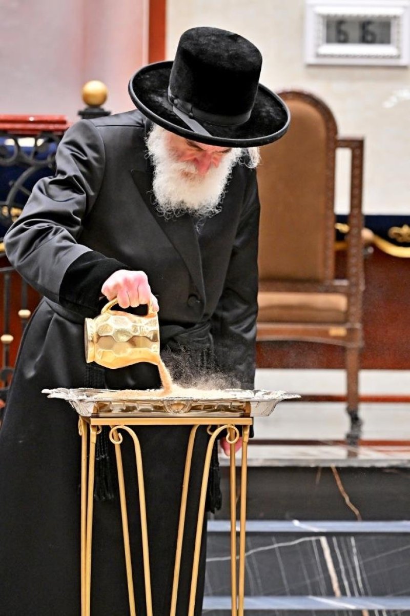 יהושע פרוכטר