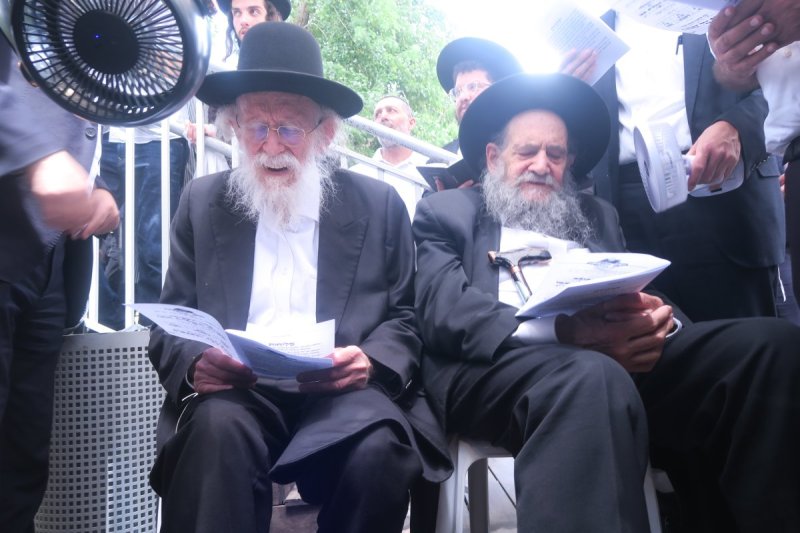 מ. אדלר