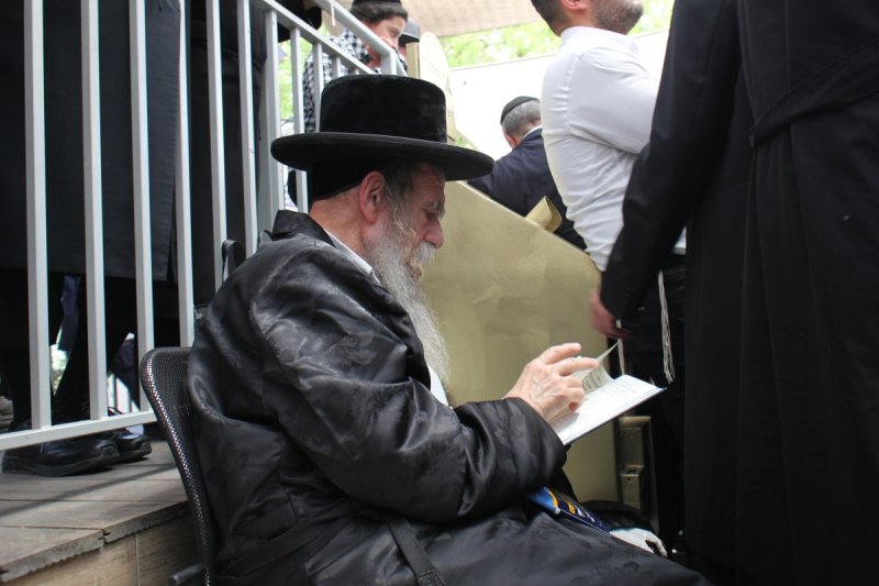 מ. אדלר