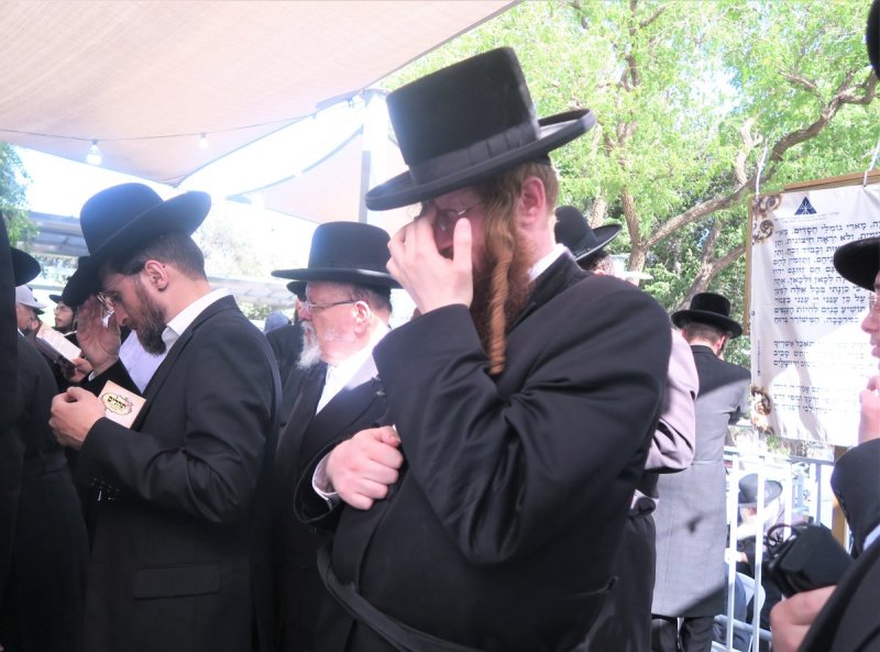 מ. אדלר
