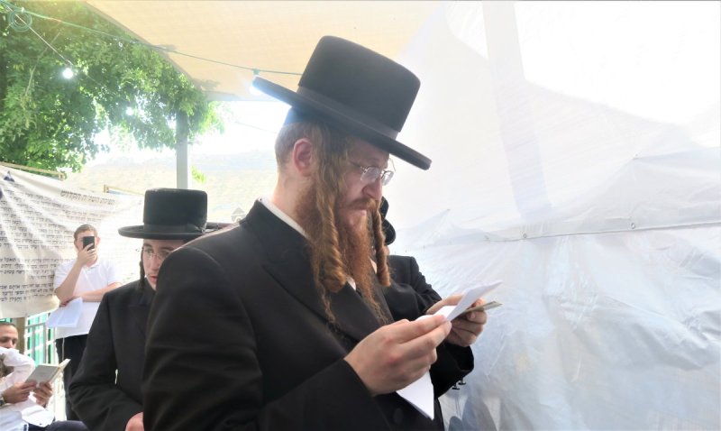 מ. אדלר
