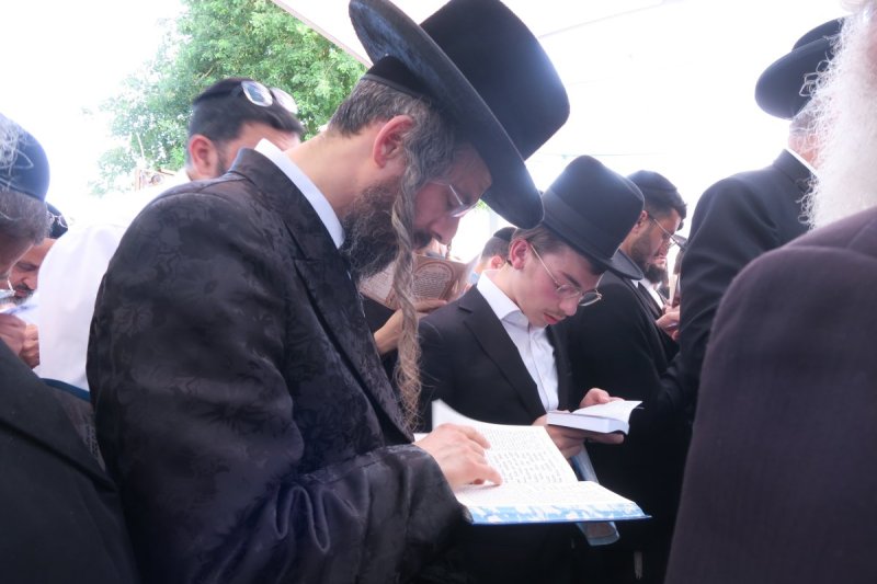 מ. אדלר
