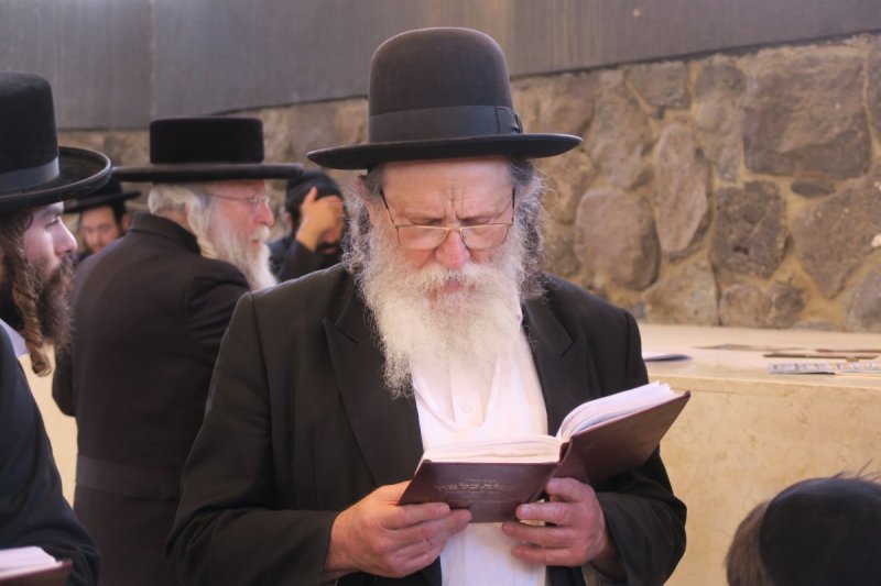 מ. אדלר